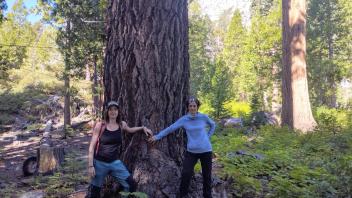 Two people stand next to a large tree trunk in a forested area with mountains in the background.