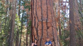 Two people stand beside a large, textured tree trunk in a forest