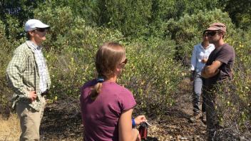Four people standing in a discussion amidst dense greenery and shrubs in a sunny setting.