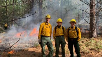 Three firefighters in yellow gear stand in a forest with controlled flames and smoke in the background.