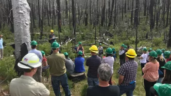 A group of people in hard hats gathered in a forested area with charred trees, possibly for a fieldwork session.