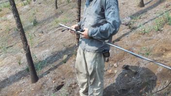A person setting Up an acoustic sampler for bat surveys in a forested area