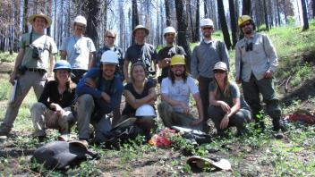 A group of 12 people wearing hard hats in a forest with burnt trees.