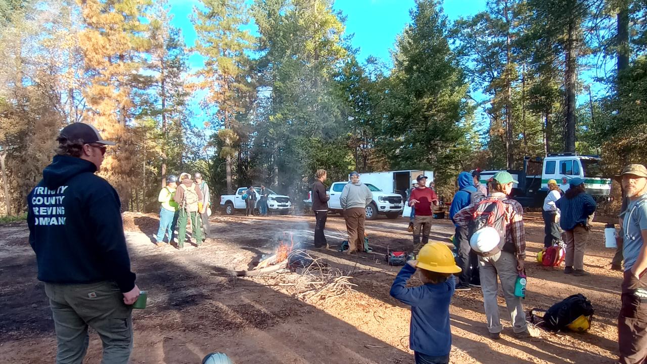 Forest Fire Training (2024)