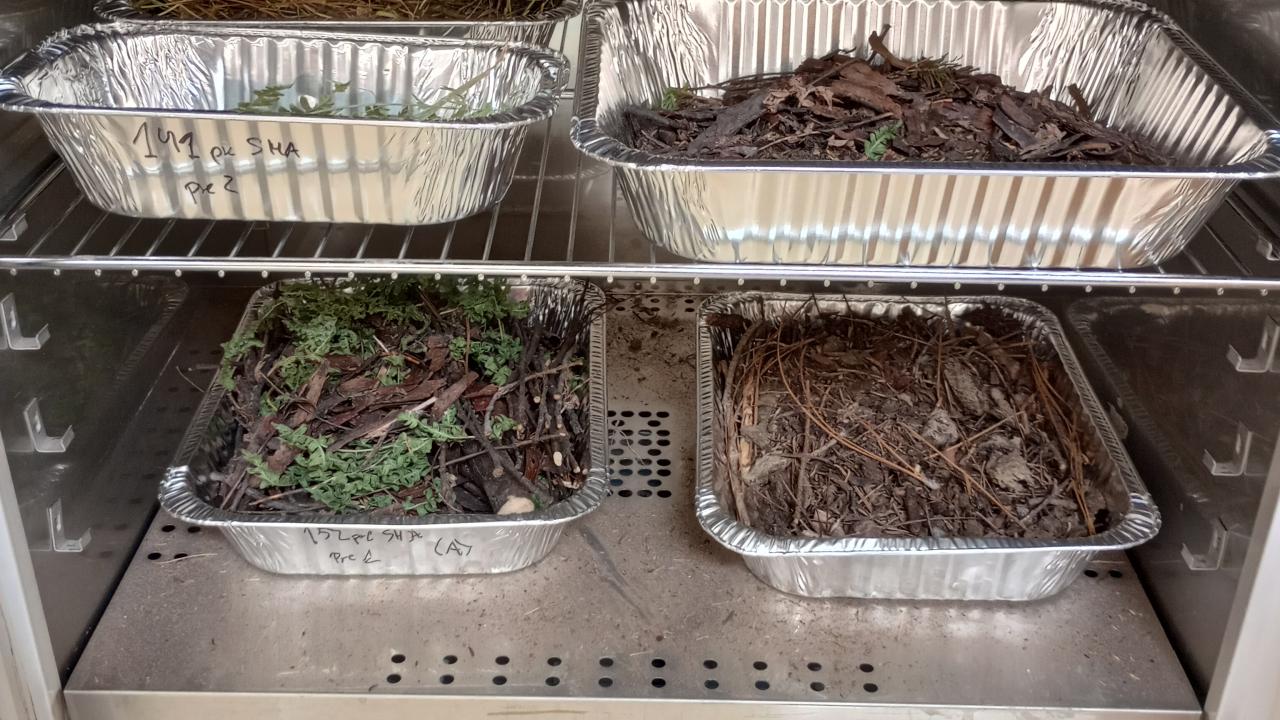 Aluminum trays with natural materials in a lab oven or incubator.
