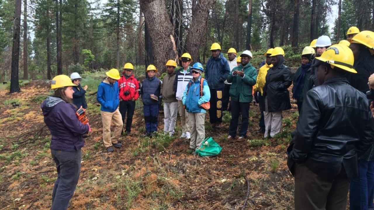 Teching in Internationa Seminar - Climate Change Resource and Conifer Regeneration after fire 2018
