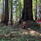 CPFMP field work