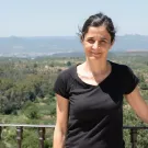Rut Domenech CV.