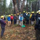 Teching Internationa Seminar Climate Change Resurce Conifer Regeneration 2018