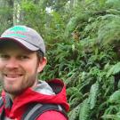 A man in a red jacket and gray cap stands in a green forest
