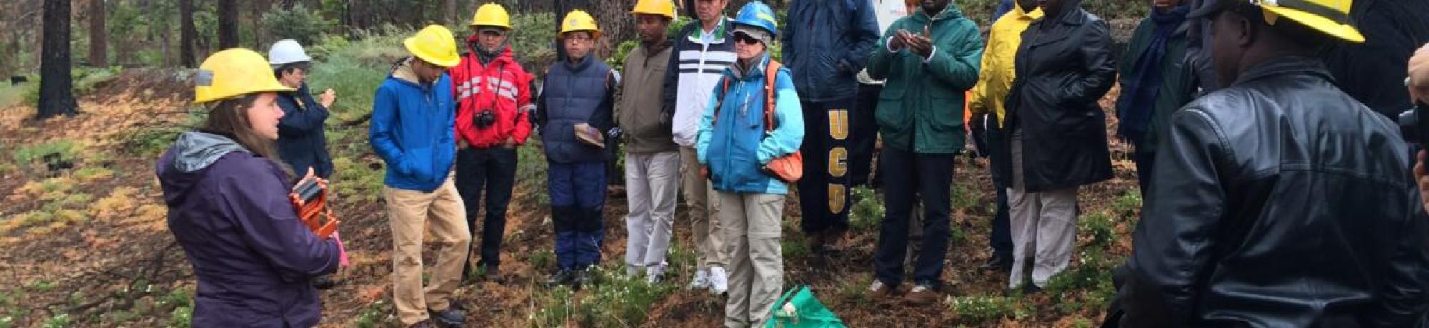 A group of people wearing safety helmets in a forest for a training session.